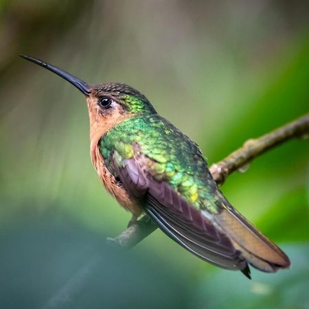Casa Carolina Vendégház San Lucas Sacatepéquez Kültér fotó